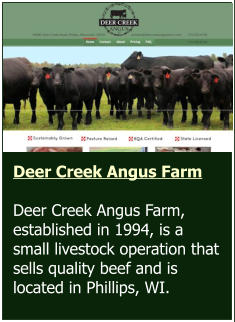 Stephen D. Willett & Associates, S.C.   Bohn Web Design met with the client to discuss concepts and colors and then created this logo, from scratch, based on the client’s vision. Deer Creek Angus Farm  Deer Creek Angus Farm, established in 1994, is a small livestock operation that sells quality beef and is located in Phillips, WI.