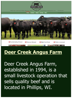 Stephen D. Willett & Associates, S.C.   Bohn Web Design met with the client to discuss concepts and colors and then created this logo, from scratch, based on the client’s vision. Deer Creek Angus Farm  Deer Creek Angus Farm, established in 1994, is a small livestock operation that sells quality beef and is located in Phillips, WI.